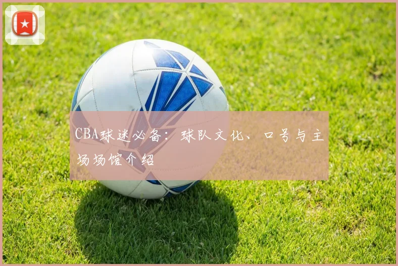 CBA球迷必备：球队文化、口号与主场场馆介绍
